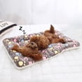 thumbnail image 6 of Cat Blankets for Indoor Cats, Ultra Soft Pet Blanket for Bed Mat, Cat Beds, Premium Flannel Cloth Self-Warming Pet Cushion Pad for Cats Dogs, Cozy Calming Cat Blanket, 6 of 9