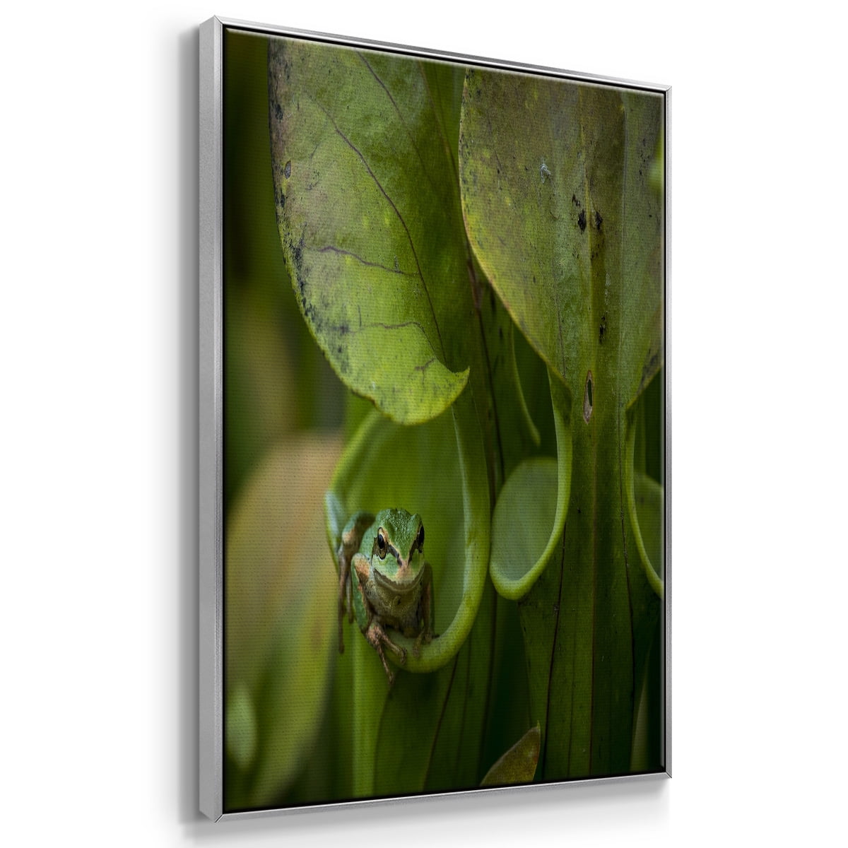 Arboreal Refuge Framed Premium Gallery Wrapped Canvas - Ready to Hang