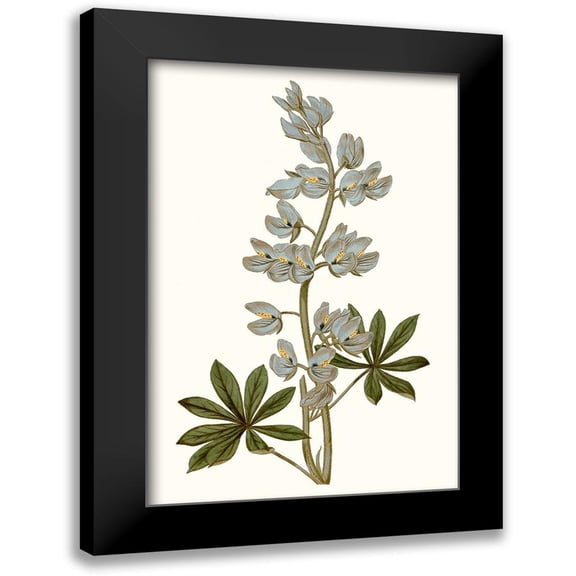 Curtis 11x14 Black Modern Framed Museum Art Print Titled - Soft Blue Botanicals VIII