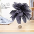 thumbnail image 4 of Lampe de Table à Plumes Ostrich, 30 Pcs Plumes 3 Couleurs Réglables Sans Fil Rechargeable par USB avec Contrôle Tactile, Lampe de Chevet Décorative Moderne avec Ampoule Incluse pour Chambre et Salon, 4 of 8