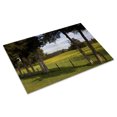 thumbnail image 3 of Print: Rural Alabama In The Spring, 2010, 3 of 4
