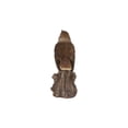 thumbnail image 4 of Hi-Line Gifts 6.25" Motion Activated Singing Nightingale Standing on Stump Outdoor Garden Statue, 4 of 8