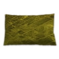 thumbnail image 1 of Ahgly Company Indoor Rectangular Contemporary Lumbar Throw Pillow, 13 inch by 19 inch, 1 of 5