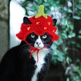 thumbnail image 4 of unbranded Sombrero De Fiesta Para Mascotas Con De Fresa Y Cómodo Para Perros Y, 4 of 6