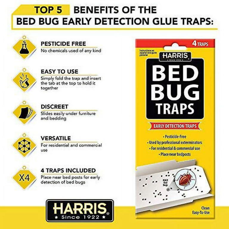 How to Use Glue Traps for Bed Bugs (Is It a Good Idea?) - Budget