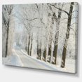 thumbnail image 2 of Winter Rural Road Among Frosted Trees - Forest Canvas Art Print, 2 of 4