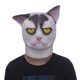 thumbnail image 1 of Máscara Genérica CHAO Grito Halloween Gato Adulto, 1 of 5