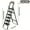 Black 1, variant on 2/3/4/5 Step Ladder, Folding Step Stool with Wide Anti Slip Pedals, 500 Pound Sturdy Steel Ladder with Tool Rack for Easy Grip, Lightweight, Portable