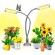 thumbnail image 1 of Lámpara de cultivo de plantas, 100 LED de espectro completo, ajustable a 5 niveles con temporizador automático / 3 h / 6 h / 12 h, 1 of 5