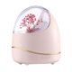 thumbnail image 1 of Difusores de , humidificador silencioso para mujeres y niñas, , lámpara de noche de 400ml, apagado automático, decoración de Rosa, 1 of 8