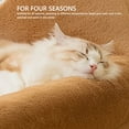 thumbnail image 4 of Ours Brun Animal Lavable Réutilisable Animal Training Pad Canapé Canapé Canapé Canapé Chat Chaud Canapé Chien Multifonctionnel pour Dormir Relaxant, 4 of 8