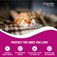 thumbnail image 4 of Tratamiento y prevención de pulgas para gatos Cheristin 3 dosis, 4 of 8