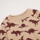 thumbnail image 5 of Conjuntos de sudadera y pantalones con estampado de dinosaurios de SDJMa para bebés recién nacidos, niños y niñas, 5 of 8