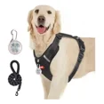 thumbnail image 1 of Pechera Arnés Reflectante Para Perros Con Correa Y Luces Led, 1 of 8