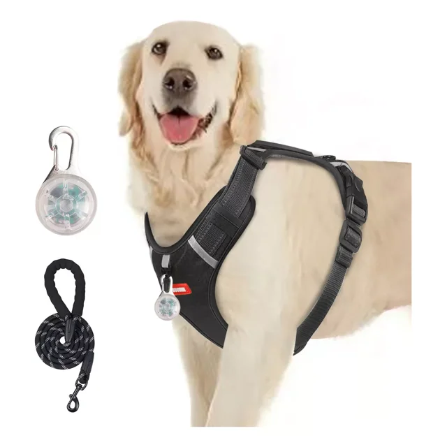 Pechera Arnés Reflectante Para Perros Con Correa Y Luces Led