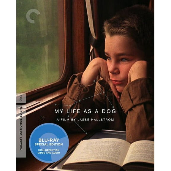 My Life as a Dog (Criterion Collection)