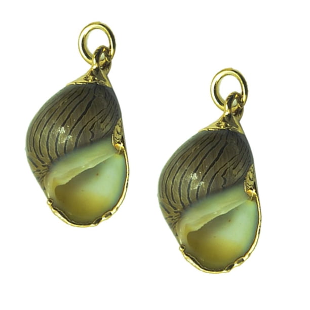 1 par de dijes colgantes de joyería, resultados de manualidades, aretes colgantes de concha de caracola