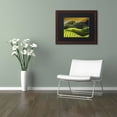 thumbnail image 3 of Trademark Fine Art "Sunset Rice" Canvas Art by Philippe Hugonnard, Black Matte, Wood Frame, 3 of 4