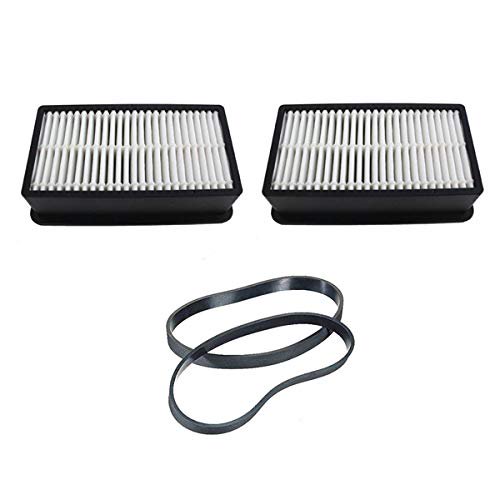 Replacement Part For Bissell Vacuum Cleaner 2 Hepa Filters with 2 Flat