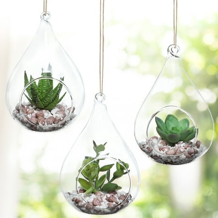 Set of 3 Teardrop Design Hanging Glass Faux Succulent Container Vases / Artificial Plant Terrarium