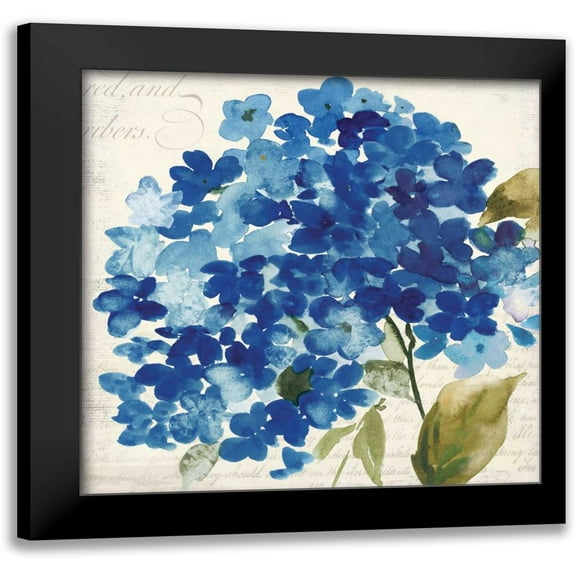 Jensen, Asia 12x12 Black Modern Framed Museum Art Print Titled - Hampton Hydrangea II