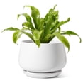 thumbnail image 5 of BEMAY 10"  White Ceramic Plant Pot with Drainage Hole and Saucer, Round Indoor Outdoor Planter for Houseplants, Flowers, Monstera, Snake Plant(Plant Not Included), 5 of 8