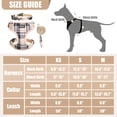 thumbnail image 2 of Set de arnés y collar de correa para perros pequeños PUPTECK, color beige, 2 of 7