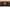 Walnut / Black, variant on SAFAVIEH Diara 2-Shelf 2-Door Media Stand Walnut / White