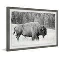 thumbnail image 2 of Marmont Hill Buffalo Grazing Framed Wall Art, 2 of 6