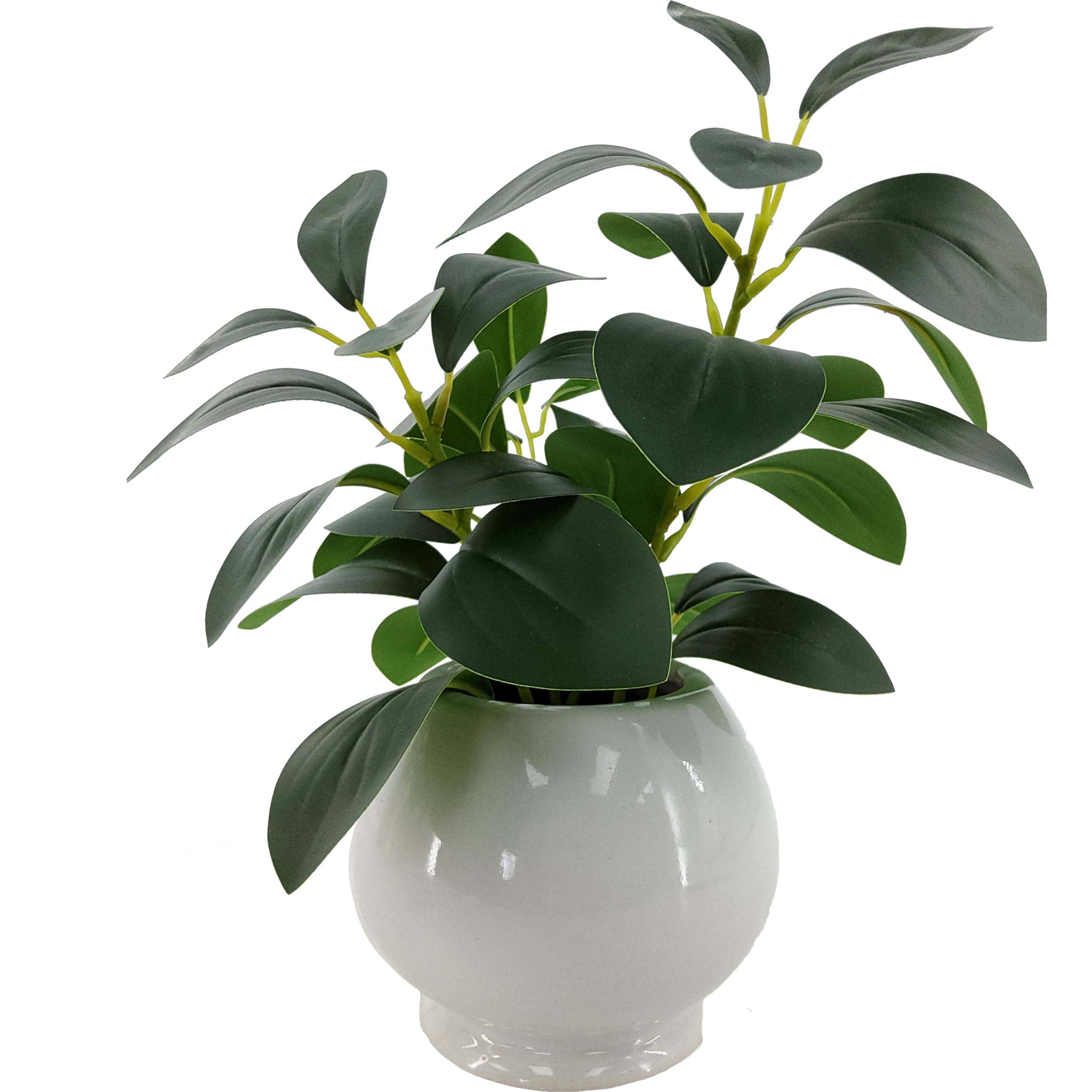 (4 pack) Mainstays Indoor Artificial Peperomia Plant in White Ceramic Pot, 11 in