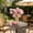 Pink #4, variant on Artificial Flower Peonies for Home Decor | Faux Flocked Blooms for Living Room Window Display | Lifelike Plastic Floral Arrangement for Indoor Decoration