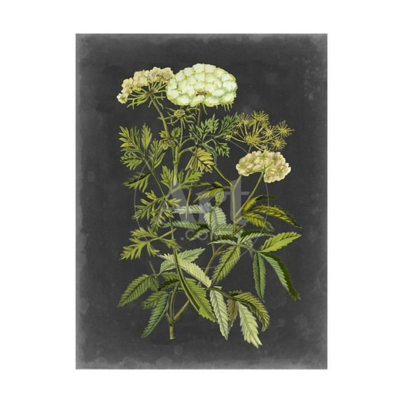 Bookplate Floral I, Botanical Unframed Art Print Wall Art by Naomi McCavitt Sold by ArtCom