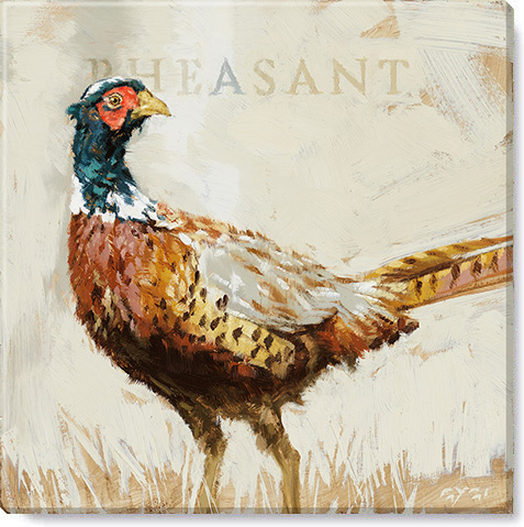 Sullivans Darren Gygi Pheasant Canvas 