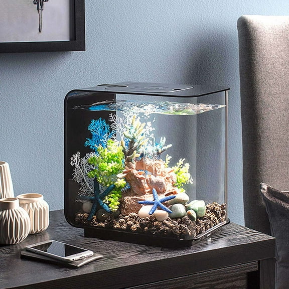 HEMOTON Natural Cobblestone Rain Flower Fish Tank Stones Colorful Stone Garden Landscape Paving Engineering Stones Decor 2-3 Pebbles 500G