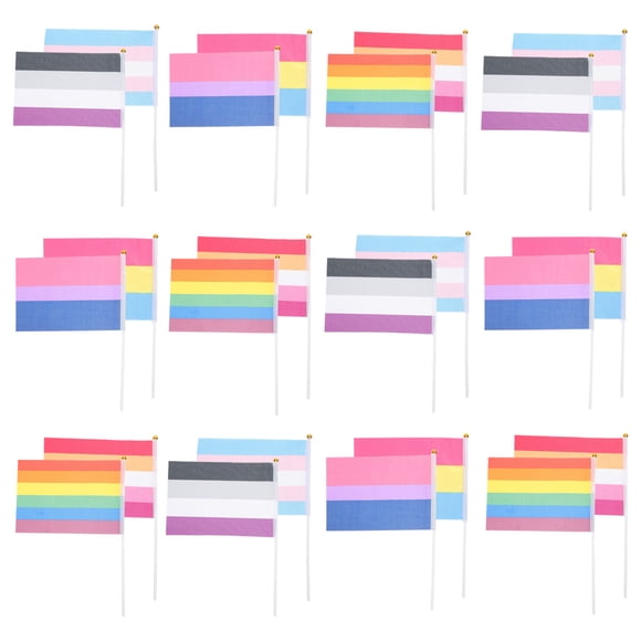 Minkissy 30 Pcs Printed Banner Pride Design Portable Indoor Decoration for Party