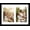 Black, variant on 8.5x11 Collage Picture Frame with Mat Set of 2, Display 2 5x7 Photos or 8.5x11 Picture, Two Opening 5x7 Picture Frame Collage for Wall Hanging or Tabletop, 5 x 7 Double Photo Frame, 2 Pack, Black