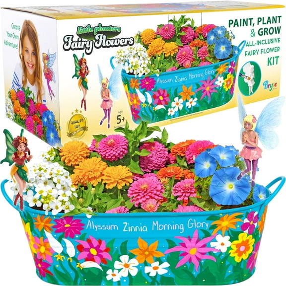 Bryte Fairy Garden Flower Growing Kit