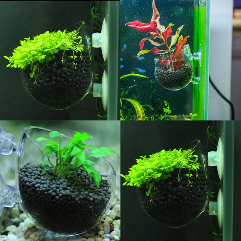Fish Tank Glass Plant Pots Aquarium Mini Cup Grow Planter Shrimp