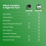 Optimum Nutrition Creatine Monohydrate Plus Powder, Orange Passionfruit Flavored Creatine Performance Blend With Electrolytes for Hydration, Added Vitamins, 40 Servings