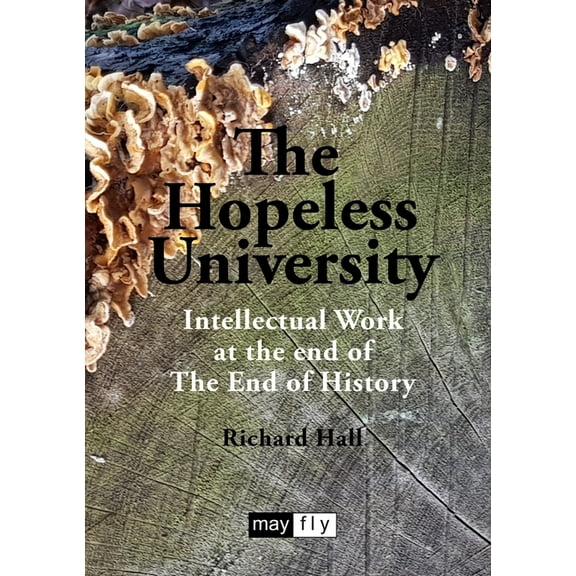 The Hopeless University (Paperback)