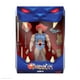 thumbnail image 2 of Figura de acción Super7 ULTIMATES! Thundercats Lion-O de 18 cm con LED, 2 of 7