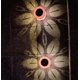 thumbnail image 4 of 2 piezas de lámpara solar para exteriores, lámpara decorativa, lámpara de pared, paisaje de jardín, césped decorativo redondo, lámpara de noche pequeña (luz cálida), 4 of 5
