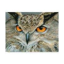 Trademark Fine Art 'Orange Eyed Owl' Canvas Art by Carla Kurt
