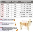 thumbnail image 4 of Pet clothing Autumn/winter warm two-legged hoodie dog clothing, 4 of 5