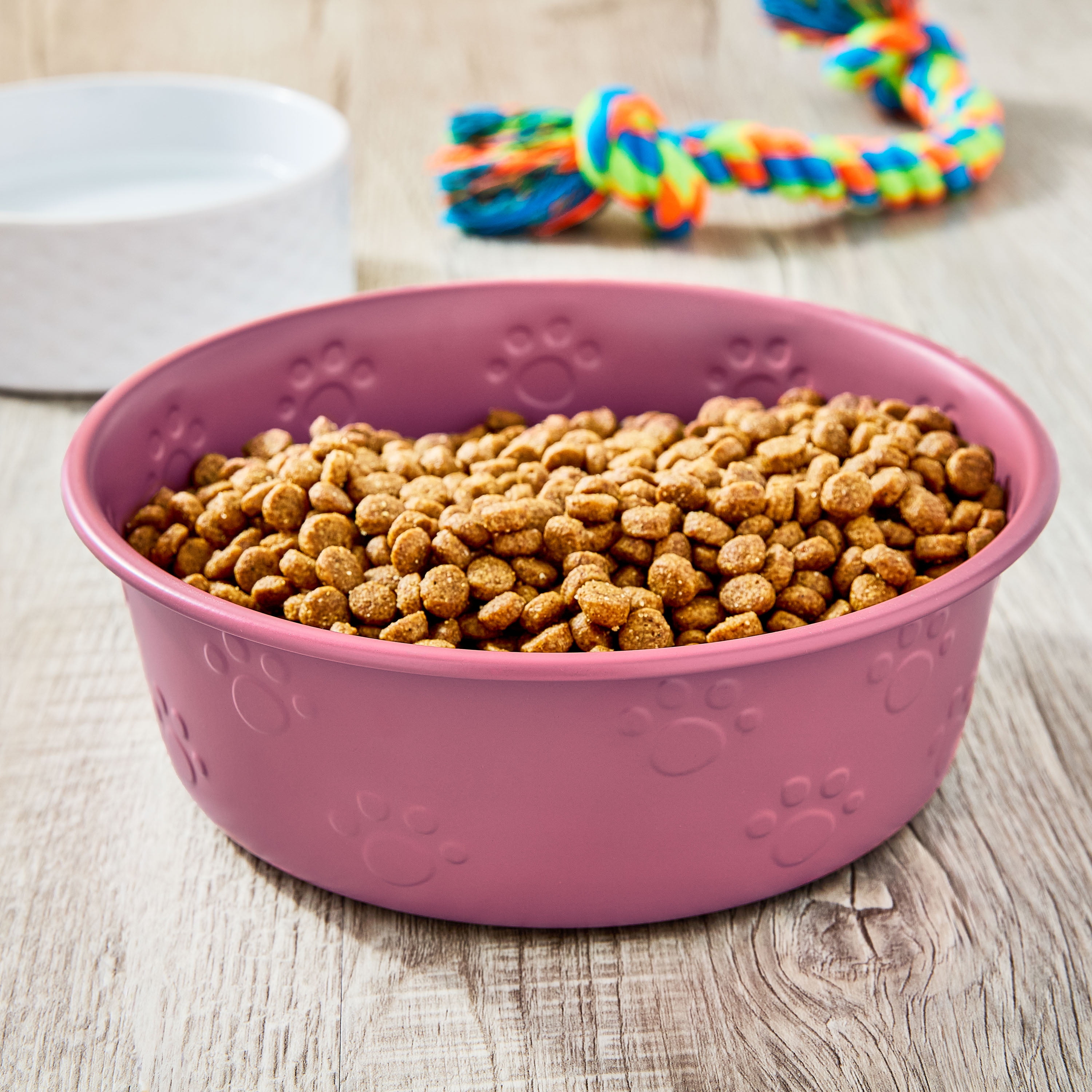 Vibrant Life Large Stainless Steel Embossed Dog Bowl, Pink Paws