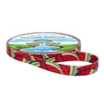 thumbnail image 4 of Country Brook Design - Summer Melon Polyester Webbing (5/8 Inch, 50 Yards), 4 of 4