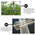 thumbnail image 3 of 4pcs Cucumber Mould Transparent Vegetable Fruit Planting Mould Growth Observation, 3 of 4