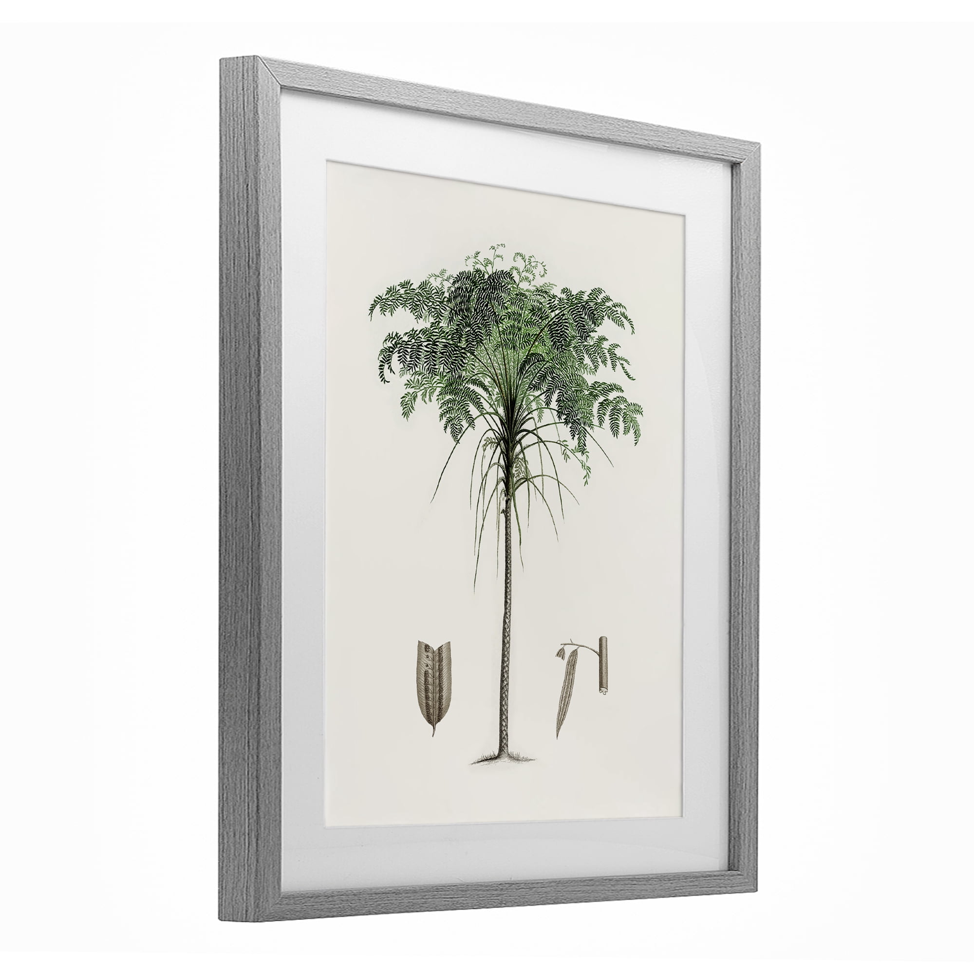 Stupell Industries Vintage Palm Leaves Gray Framed Print Under Glass, design by Val Rhodes