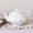 White, variant on Rose Ceramic Teapot With Infuser 33oz Loose Leaf Tea Pot for Parties and Daily Use