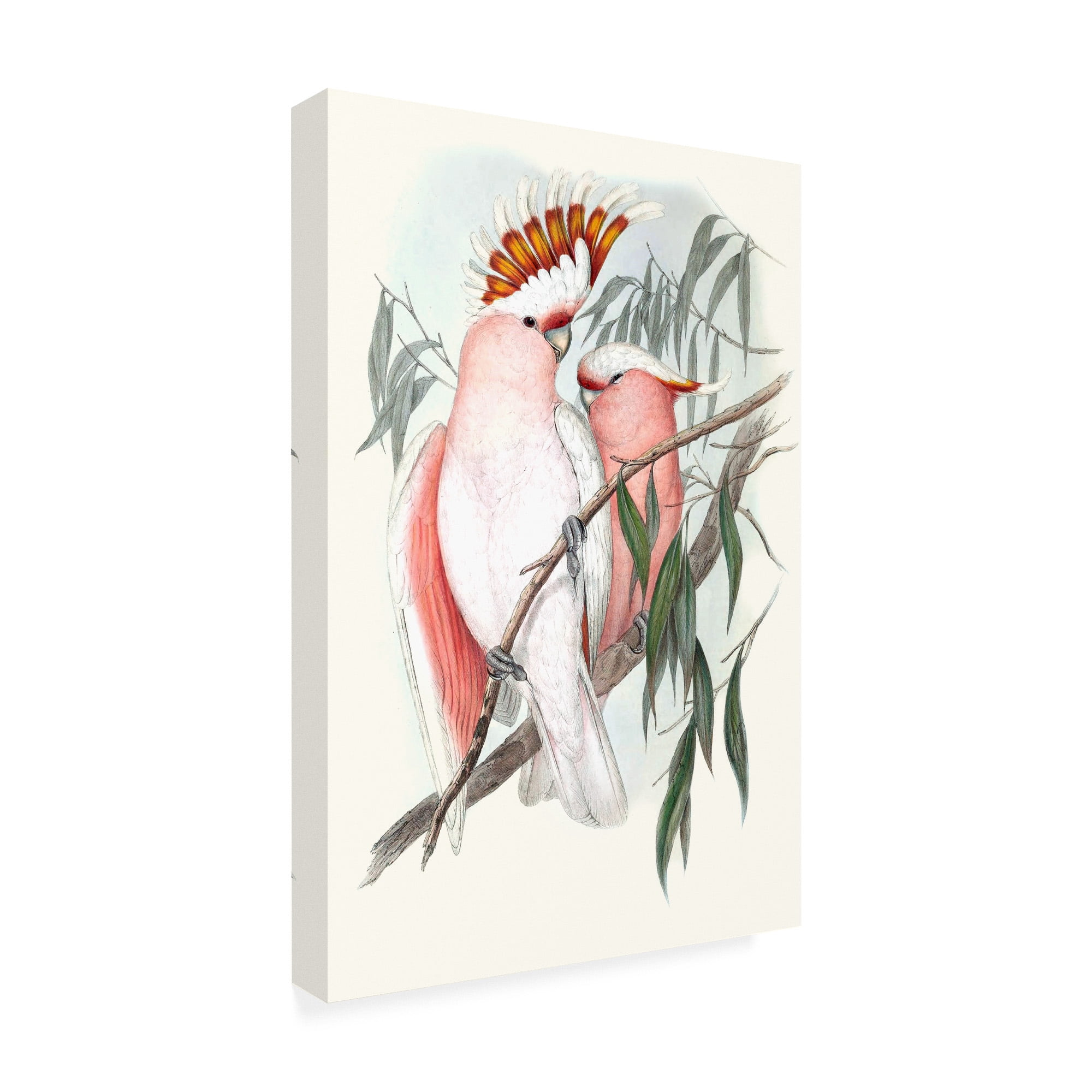 Trademark Fine Art 'Pastel Parrots I' Canvas Art by John Gould